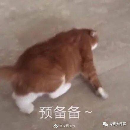 广东全省入秋了<strong></p>
<p>立讯精密股票</strong>，冷空气最快今晚抵达广州