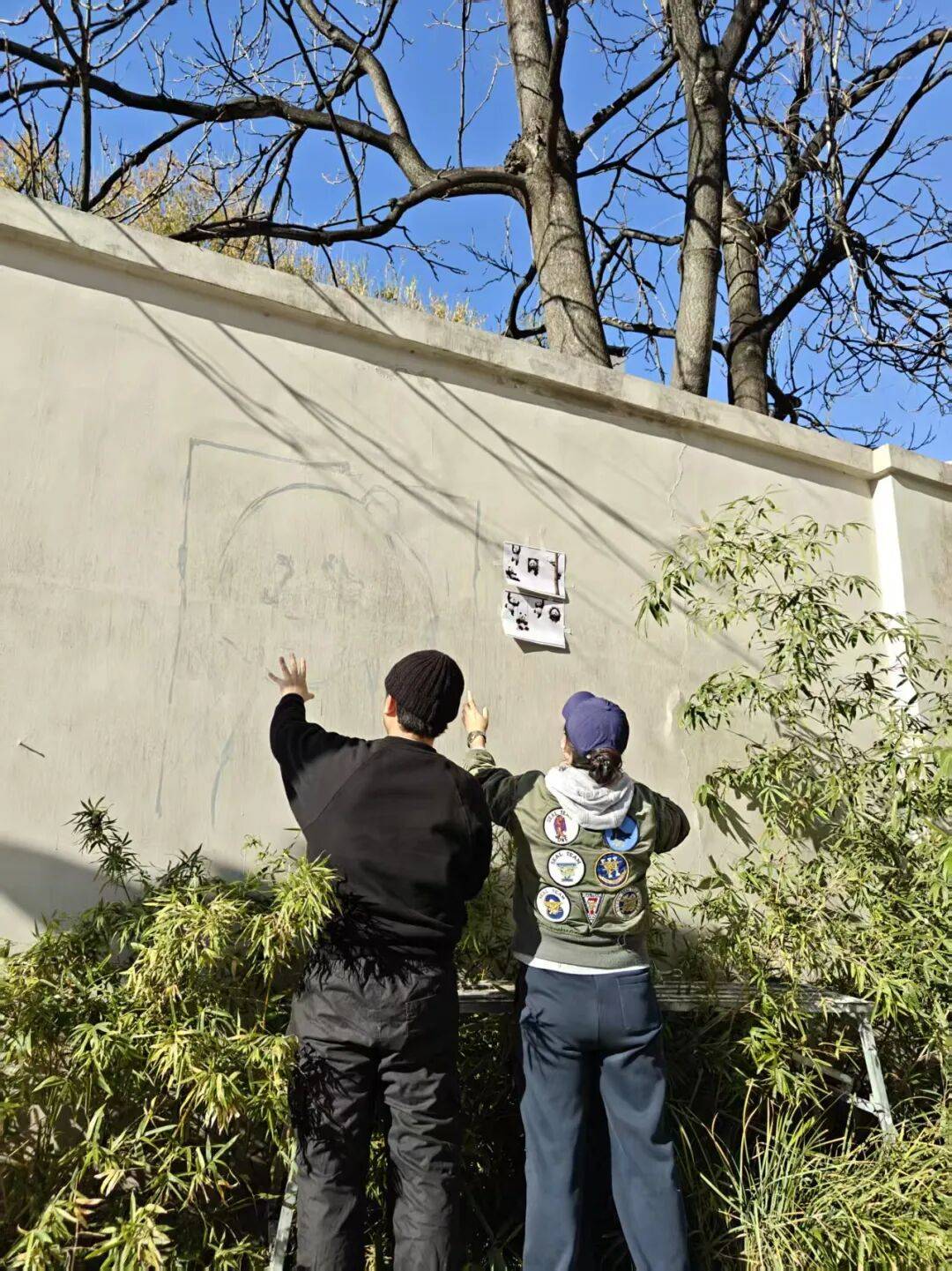 “颜值”出圈 天津和平区独山路这面彩绘墙“亮”<strong></p>
<p>启明星辰股票</strong>了