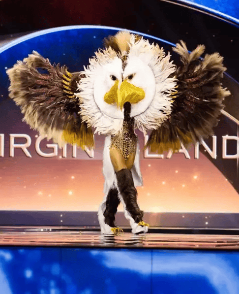 环球小姐决赛成“动物开会”<strong></p>
<p>启明星辰股票</strong>？冠军被羞辱又深陷暗箱丑闻