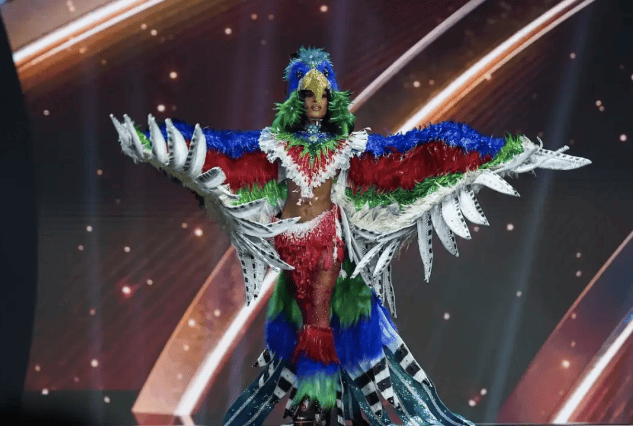 环球小姐决赛成“动物开会”<strong></p>
<p>启明星辰股票</strong>？冠军被羞辱又深陷暗箱丑闻