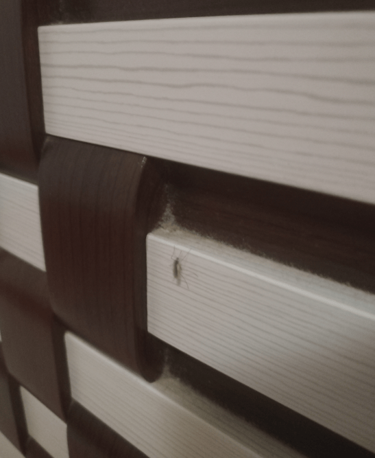 被吵得整宿睡不着！大连女子：已经持续了近半个月