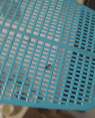 被吵得整宿睡不着<strong></p>
<p>启明星辰股票</strong>！大连女子：已经持续了近半个月