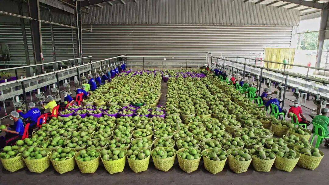 椰子水之外<strong></p>
<p>科泰电源股票</strong>，大公司争夺40亿元生椰市场