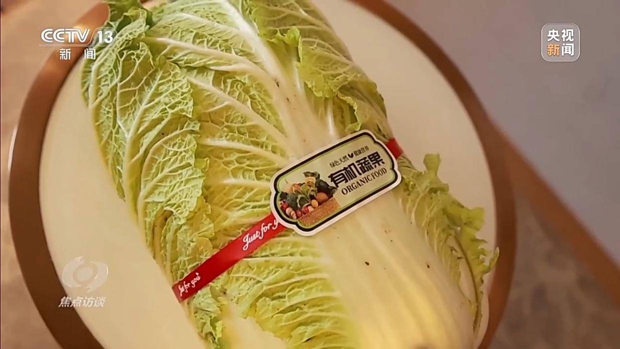 单棵售价超百元<strong></p>
<p>科泰电源股票</strong>，起底“套牌白菜”背后的销售套路