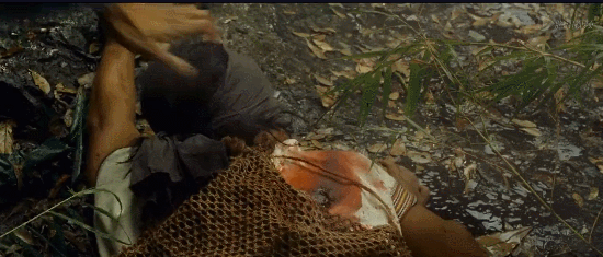 第一个扑向祁团长的印军黄种人面孔<strong></p>
<p>长信科技股票</strong>，他到底是什么人？