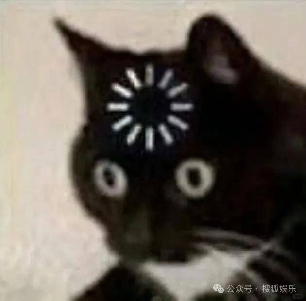 又一对魔幻的圈内姐弟恋曝光<strong></p>
<p>怎么申请股票开户</strong>！这组合有点太超前了......