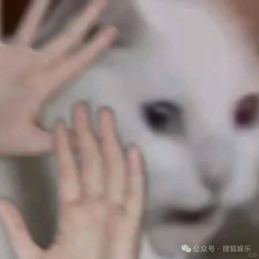 又一对魔幻的圈内姐弟恋曝光<strong></p>
<p>怎么申请股票开户</strong>！这组合有点太超前了......