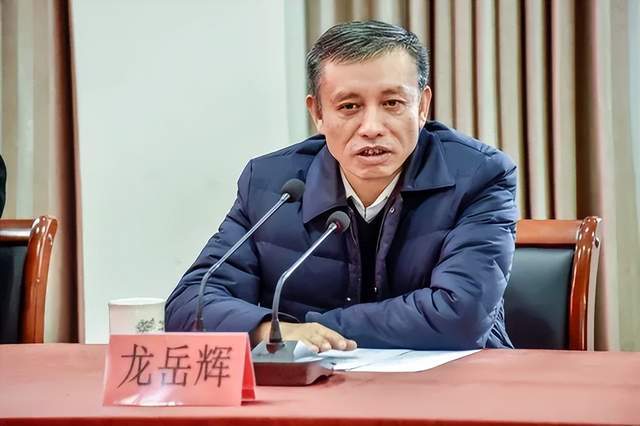 主动投案<strong></p>
<p>高德红外股票</strong>，国家税务总局浙江省税务局原党委书记、副局长龙岳辉接受审查调查