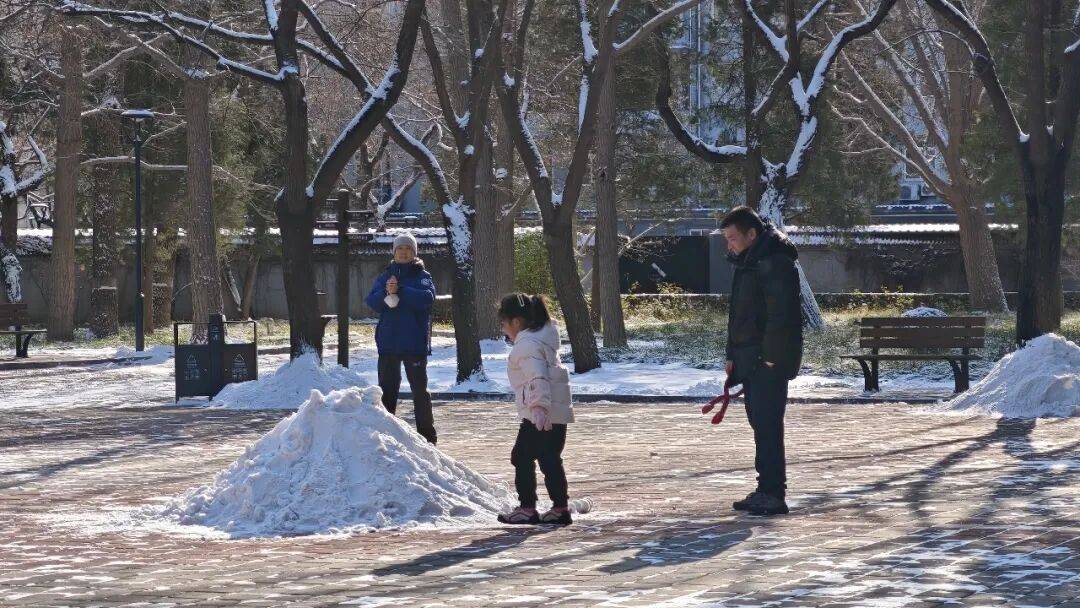 北京绿化带里用了二十年的板子<strong></p>
<p>高德红外股票</strong>，今冬“下岗”了——