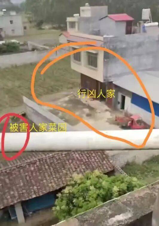 刚刚宣判:何某乖<strong></p>
<p>奋达科技股票</strong>,改判死刑!