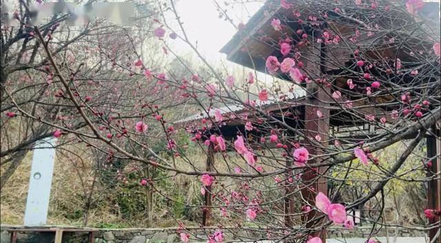 太突然!武汉正大量出现<strong></p>
<p>汉得信息股票</strong>,不用等到春节