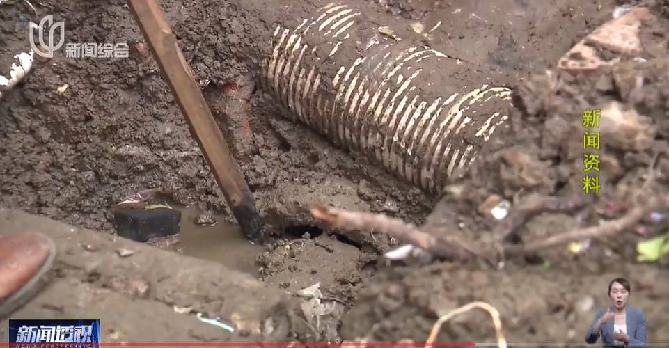 太夸张！上海人比比谁家楼下井盖多！有人家门口100个<strong></p>
<p>金信诺股票</strong>，“走路难！到处都像贴膏药”...