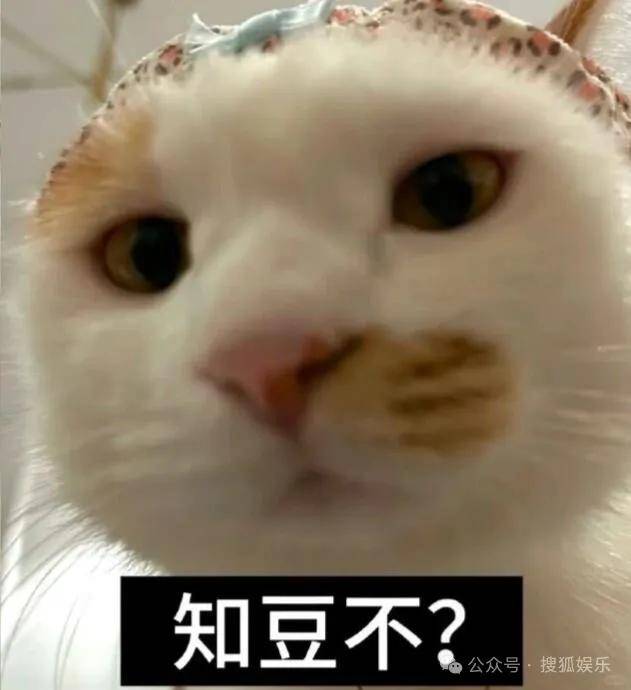 刚开年又曝一对相差15岁的恋情？他这一周两段绯闻真是连环暴击啊<strong></p>
<p>中国重汽股票</strong>！