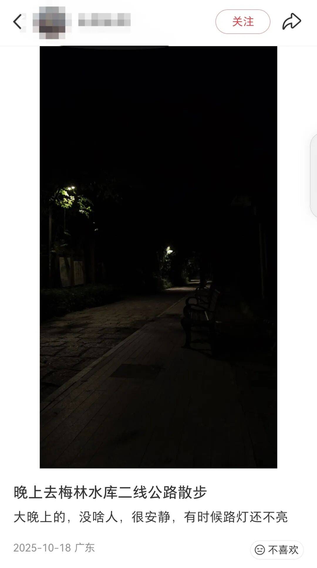 深圳一条路的路灯竟被官方“故意调暗”<strong></p>
<p>瑞贝卡股票</strong>！原因很特别……