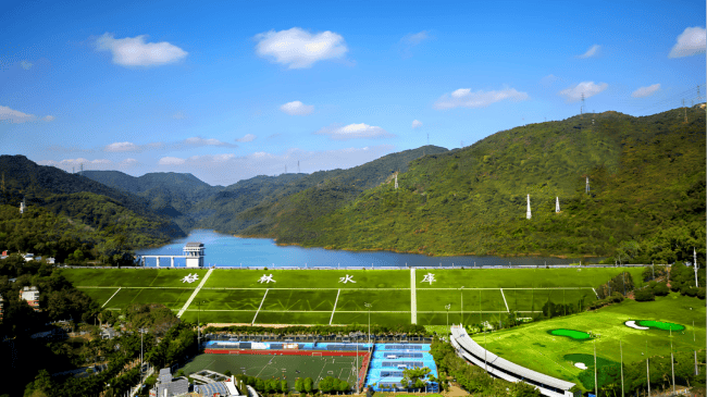 深圳一条路的路灯竟被官方“故意调暗”<strong></p>
<p>瑞贝卡股票</strong>！原因很特别……