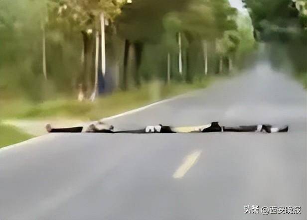 四名儿童排队横躺马路上扮演“减速带”<strong></p>
<p>道明光学股票</strong>，司机：“远看以为是塑料袋”