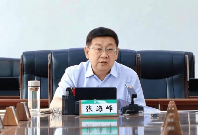 涉嫌严重违纪违法<strong></p>
<p>虚拟币行情</strong>，张海峰被查